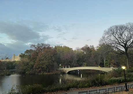 evieling Nacktbilder auf OnlyFans