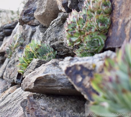 sexyredinbedfree Nacktbilder OnlyFans geleakt