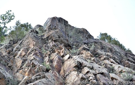 sexyredinbedfree Leaked OnlyFans Bilder