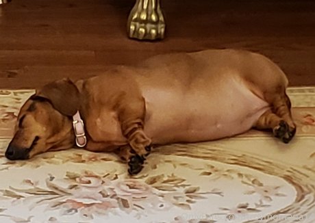 troymontana14 OnlyFans-Bilder geleakt