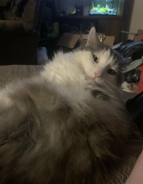 nova2 0 OnlyFans Porn Nackt