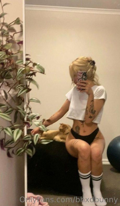 bhxdbunny OnlyFans-Bild