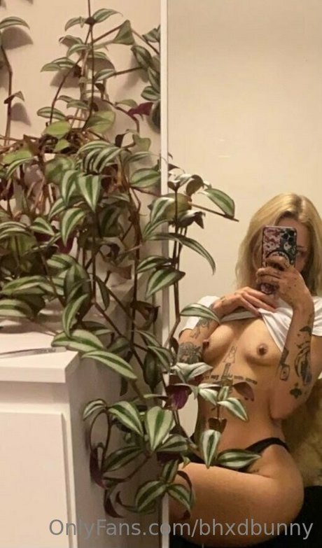 bhxdbunny OnlyFans OnlyFans