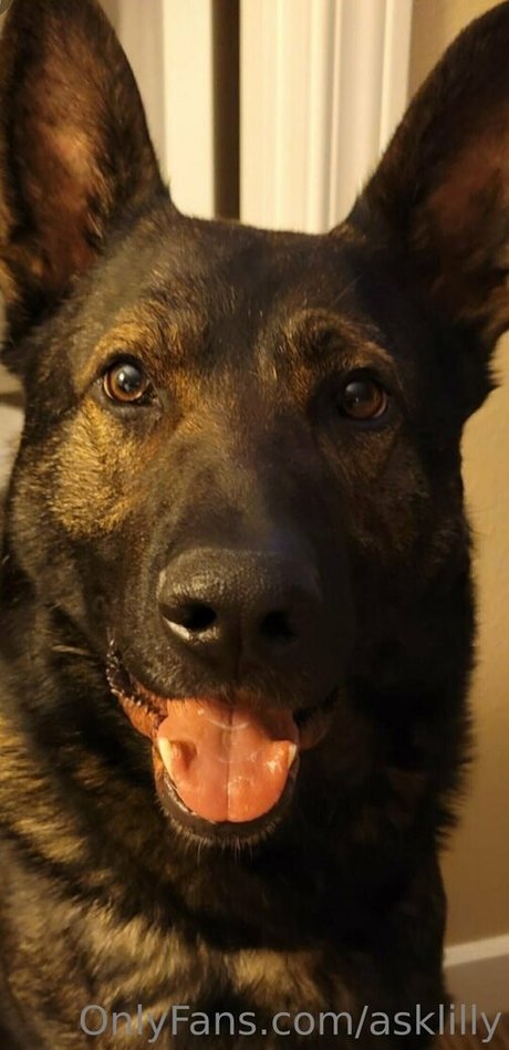 asklilly Nacktpornos von OnlyFans geleakt