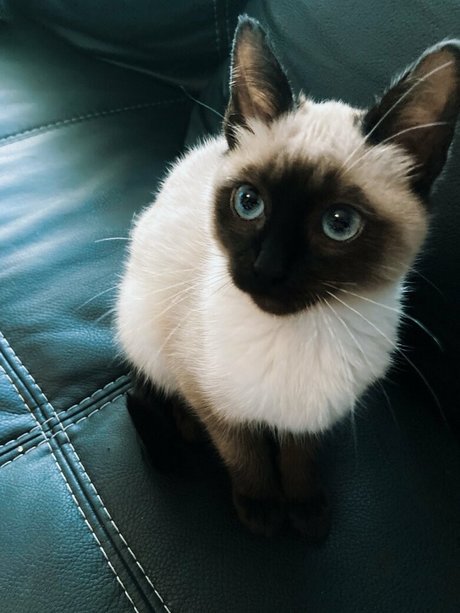 witchandhansel Bilder OnlyFans