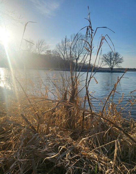 ur succubus gf Nacktbilder-Leaks von OnlyFans