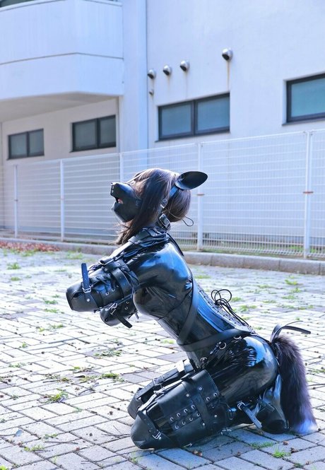 Dlemon Nacktbilder von OnlyFans geleakt