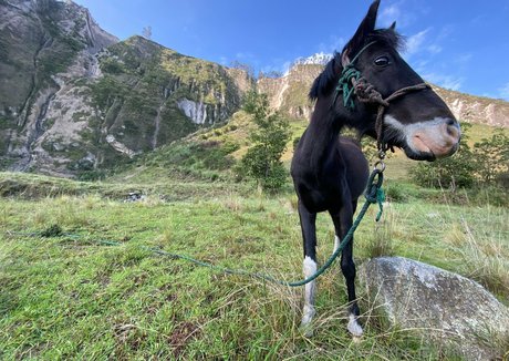 the real ninja girl Kostenloses OnlyFans