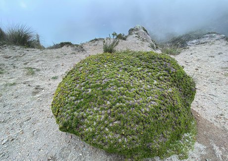 the real ninja girl OnlyFans Sex