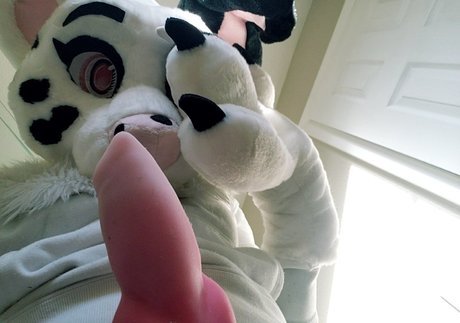 dirtydotti Leaks von Nacktbildern auf OnlyFans