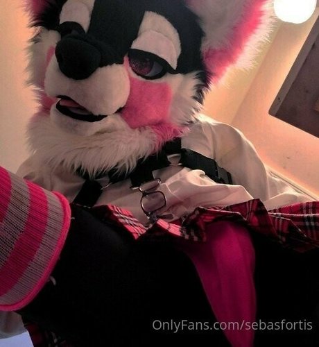 sebasfortis Nacktbilder von OnlyFans