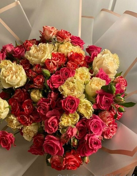 nika delf OnlyFans-Leak