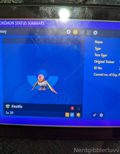 nerdgibblerluvv OnlyFans-Pornos