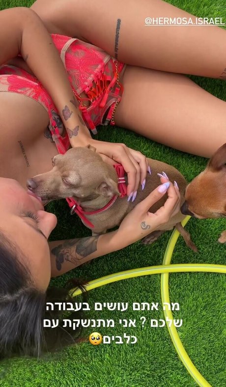 Pussie007 OnlyFans XXX