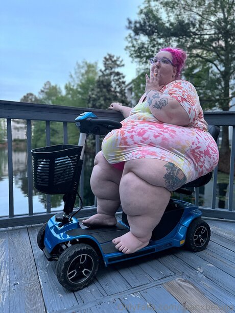 spanxbeluga OnlyFans Leaks