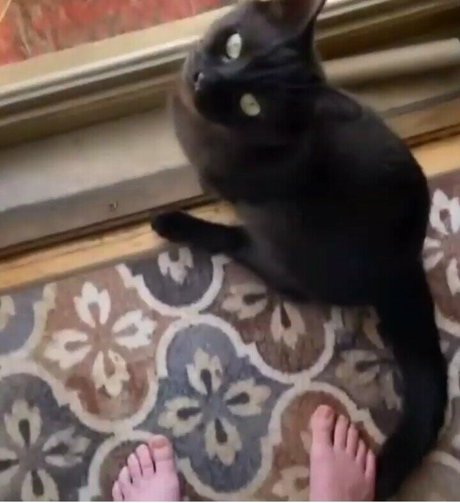 Awakeproductions NurlyFans-Pornos