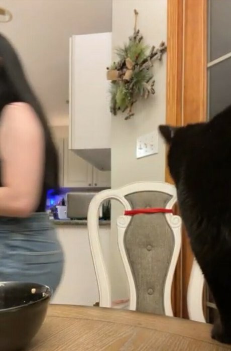 Awakeproductions OnlyFans XXX