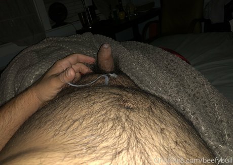 beefybull 