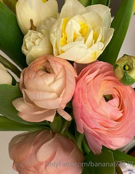 banana69split OnlyFans Porno