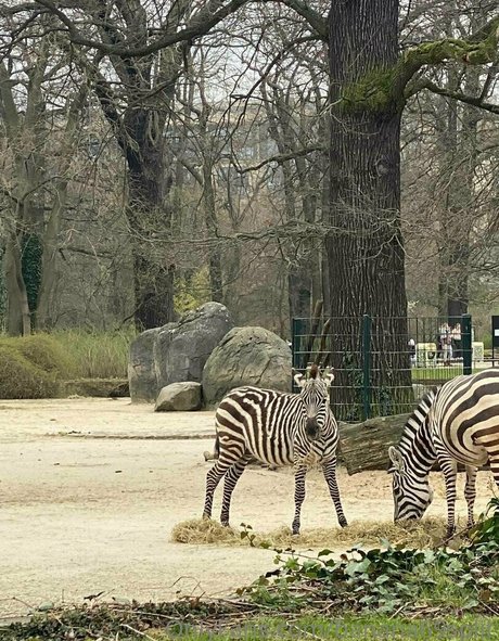 banana69split Nacktbilder auf OnlyFans