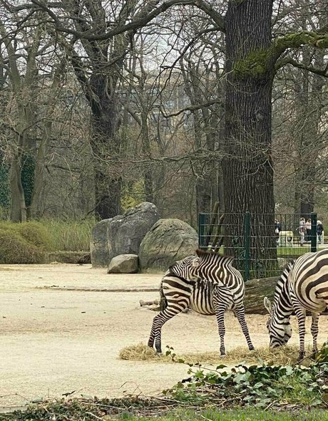 banana69split Kostenlose OnlyFans-Inhalte