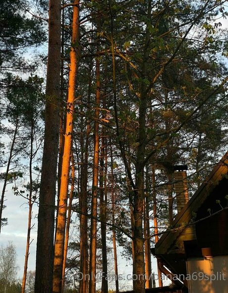 banana69split OnlyFans Beiträge