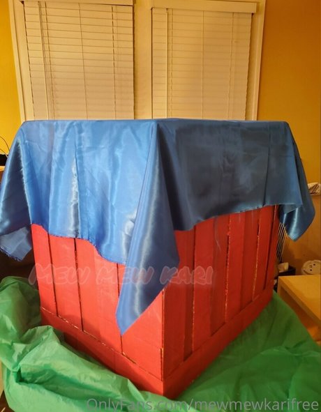 mewmewkarifree Nacktpornos auf OnlyFans