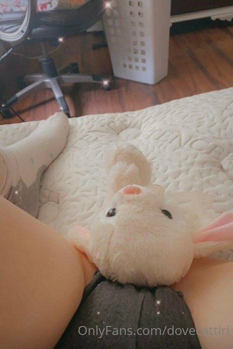 dovecattiri OnlyFans geleakt