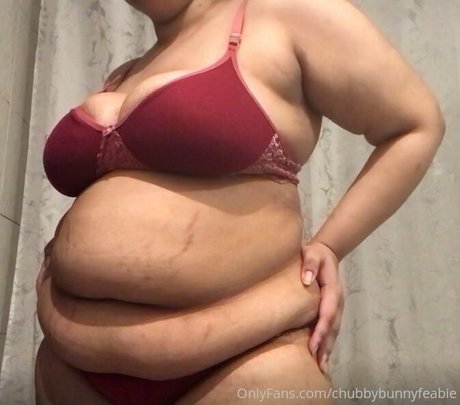 chubbybunnyfeabie Kostenlose OnlyFans-Pornos