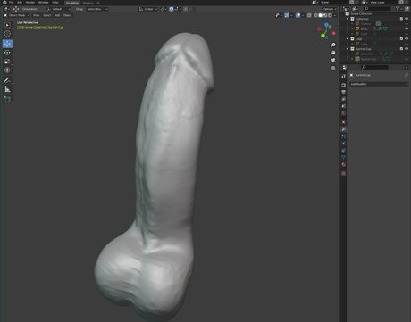 realnickfoxx Nacktporno OnlyFans