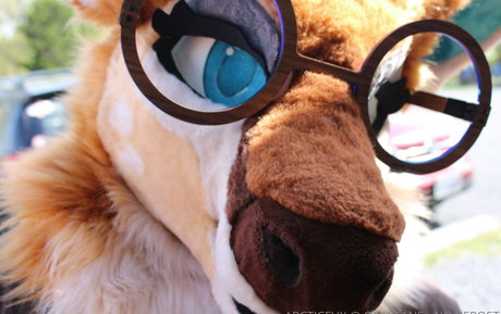 arcticfux OnlyFans nackte Brüste