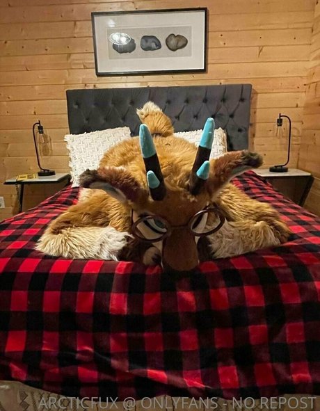 arcticfux OnlyFans Pornografie