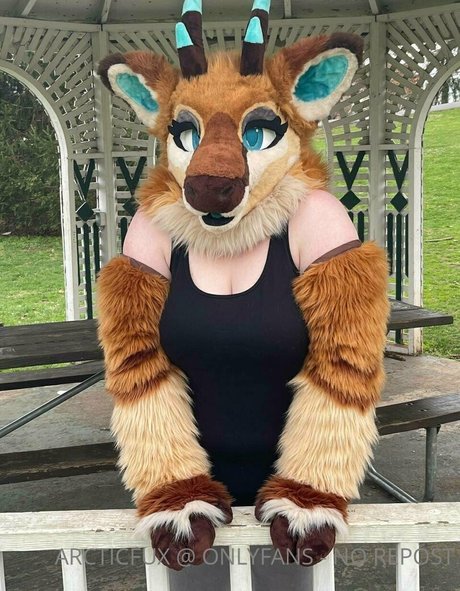 arcticfux Neuer OnlyFans Leak