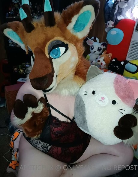 arcticfux Kostenlose OnlyFans-Inhalte