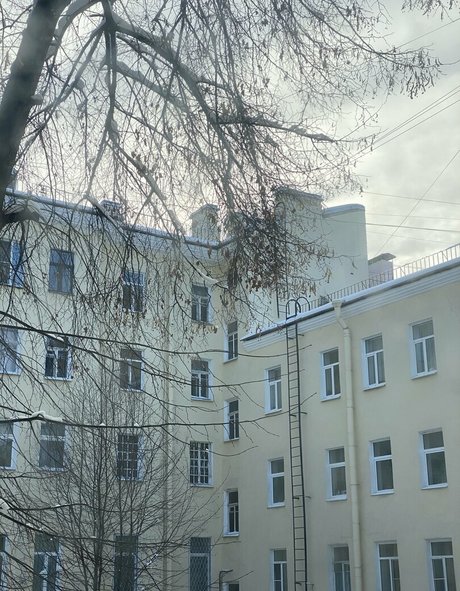 sweetmossy Nackt OnlyFans