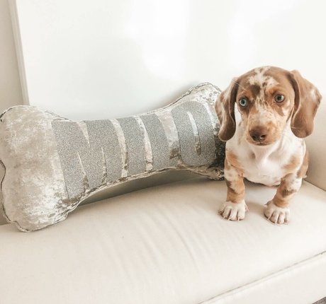 Coco Lodge Nackt Leaks OnlyFans