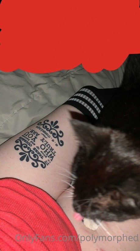 Polymorphed OnlyFans Striptease