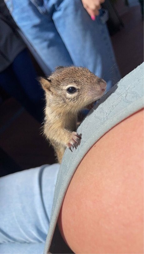 Emma R B OnlyFans Brüste Bild