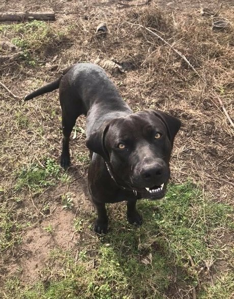 naughtyvettech OnlyFans Nackt Leaks