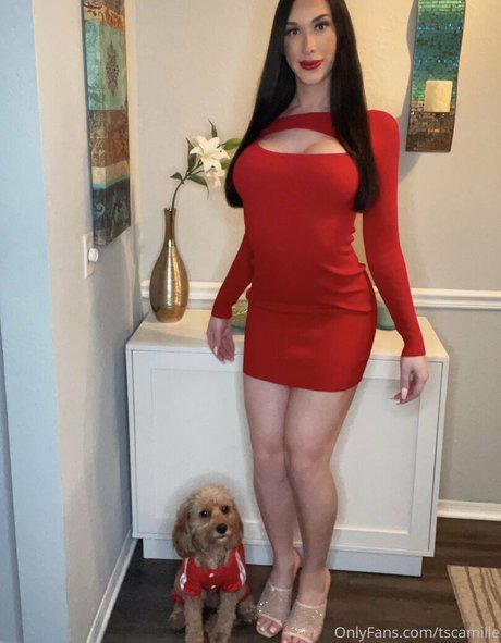 tscamille OnlyFans Star