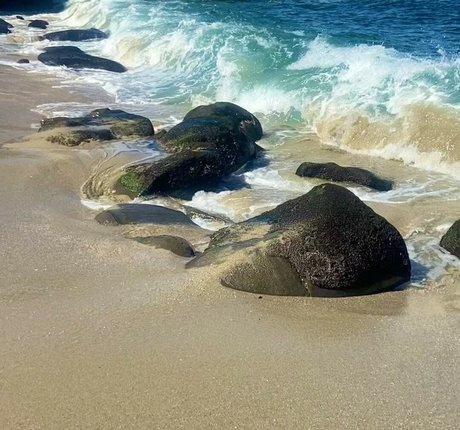 Sarai Fonseca Nacktbilder von OnlyFans geleakt