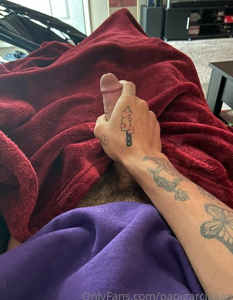 papigarciaaaa Nacktbilder von OnlyFans geleakt