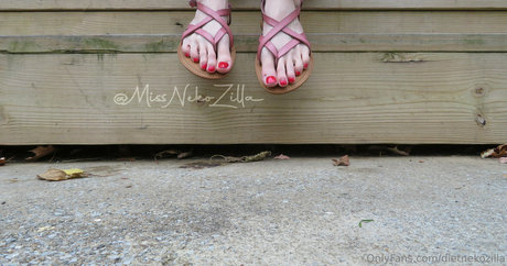 dietnekozilla OnlyFans explizite Inhalte