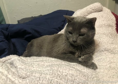 couldshouldwood Nacktbilder von OnlyFans geleakt