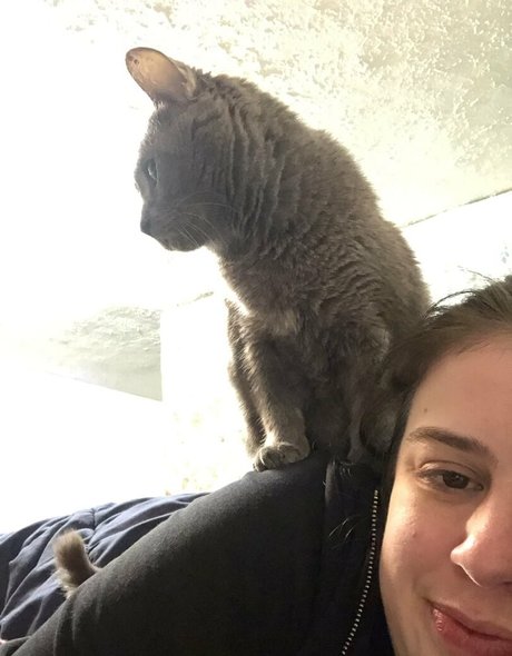 couldshouldwood Kostenloses OnlyFans