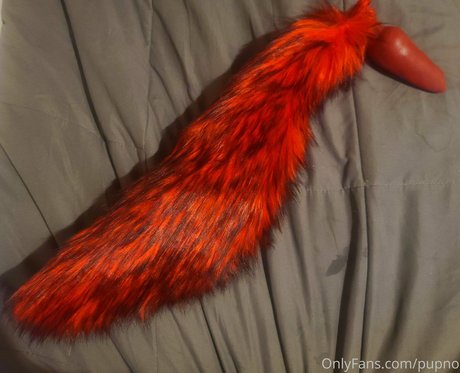 Kodi pup Neuer OnlyFans Leak