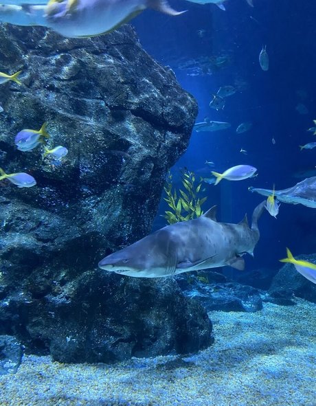 onyour bunny Sexy OnlyFans