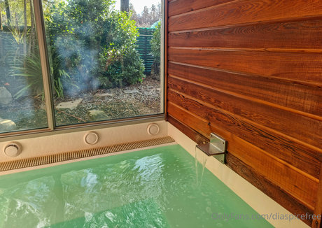 diaspicefree Nacktbilder-Leaks von OnlyFans