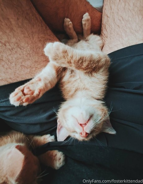 fosterkittendad Nacktbilder-Leaks von OnlyFans