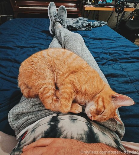 fosterkittendad OnlyFans-Pornos